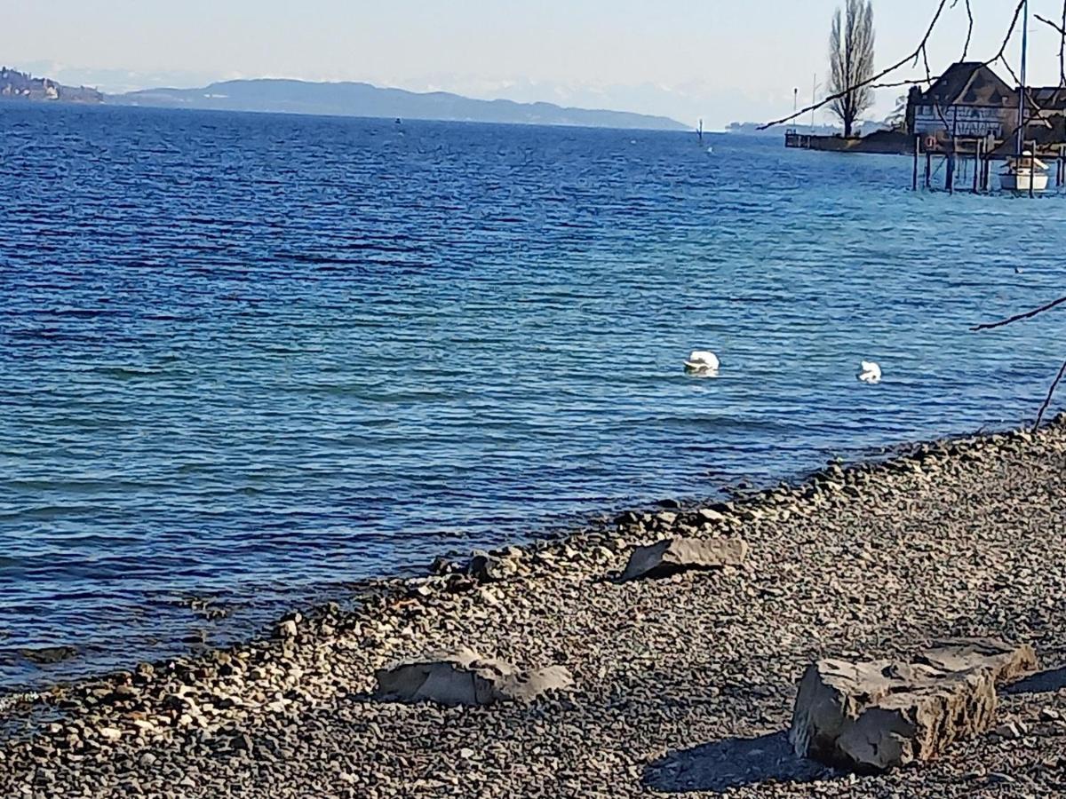 Fewo Mit Tollem Ausblick Auf Der Schwaebischen Alb. Wehingen Esterno foto